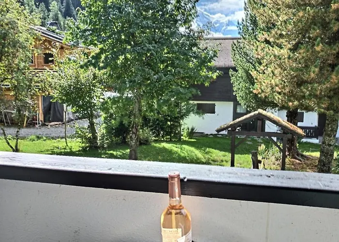 Lumineux 2 Ch Chamonix, Proche Grands Montets, Parking & Locker 公寓 *