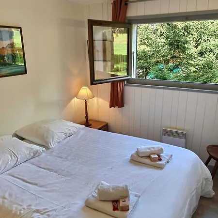 Apartamento Lumineux 2 Ch Chamonix, Proche Grands Montets, Parking & Locker